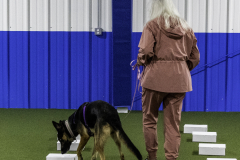 2022-Fall-ScentWork-Trial-589