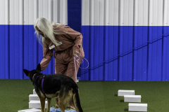 2022-Fall-ScentWork-Trial-590