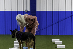2022-Fall-ScentWork-Trial-591