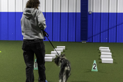 2022-Fall-ScentWork-Trial-592