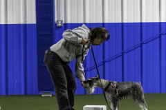 2022-Fall-ScentWork-Trial-598