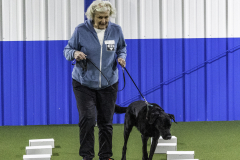 2022-Fall-ScentWork-Trial-605