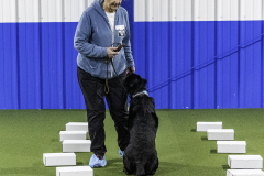 2022-Fall-ScentWork-Trial-609