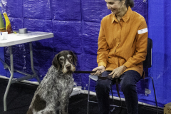 2022-Fall-ScentWork-Trial-624