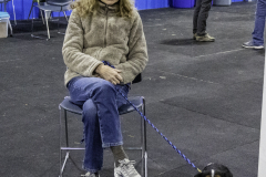 2022-Fall-ScentWork-Trial-627