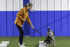 2022-Fall-ScentWork-Trial-630