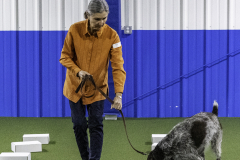 2022-Fall-ScentWork-Trial-631