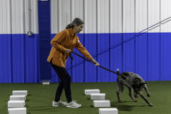 2022-Fall-ScentWork-Trial-639