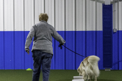 2022-Fall-ScentWork-Trial-644