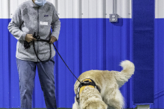 2022-Fall-ScentWork-Trial-649