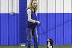 2022-Fall-ScentWork-Trial-662