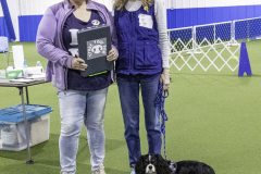 2022-Fall-ScentWork-Trial-665
