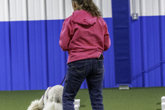 2022-Fall-ScentWork-Trial-668
