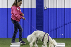 2022-Fall-ScentWork-Trial-669