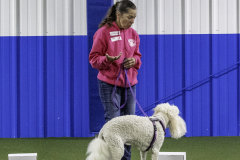 2022-Fall-ScentWork-Trial-670