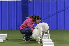 2022-Fall-ScentWork-Trial-671