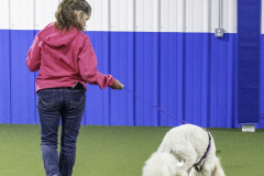 2022-Fall-ScentWork-Trial-673