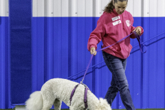 2022-Fall-ScentWork-Trial-674