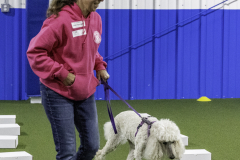 2022-Fall-ScentWork-Trial-678