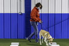 2022-Fall-ScentWork-Trial-696