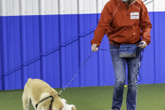 2022-Fall-ScentWork-Trial-697