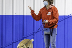 2022-Fall-ScentWork-Trial-698