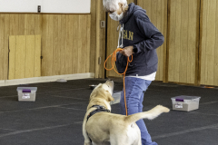 2022-Fall-ScentWork-Trial-731