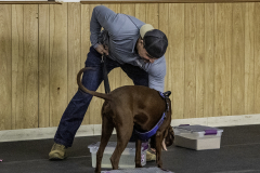 2022-Fall-ScentWork-Trial-748