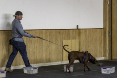 2022-Fall-ScentWork-Trial-749