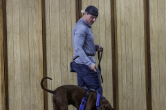 2022-Fall-ScentWork-Trial-757