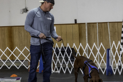 2022-Fall-ScentWork-Trial-759