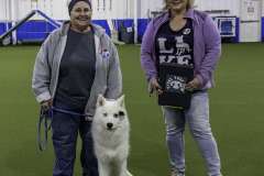 2022-Fall-ScentWork-Trial-786