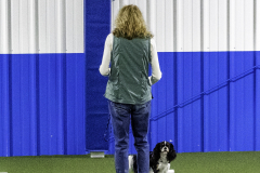 2022-Fall-ScentWork-Trial-80