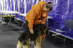 2022-Fall-ScentWork-Trial-832