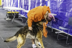 2022-Fall-ScentWork-Trial-833