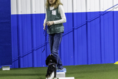 2022-Fall-ScentWork-Trial-88