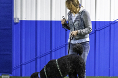 2022-Fall-ScentWork-Trial-93