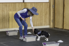 2022-Fall-ScentWork-Trial-966