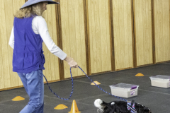 2022-Fall-ScentWork-Trial-967