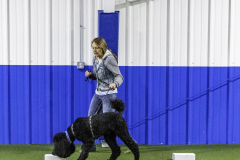 2022-Fall-ScentWork-Trial-97