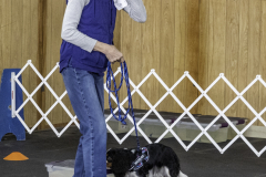 2022-Fall-ScentWork-Trial-970