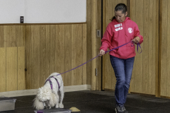 2022-Fall-ScentWork-Trial-976