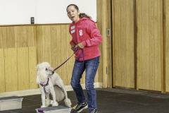 2022-Fall-ScentWork-Trial-978