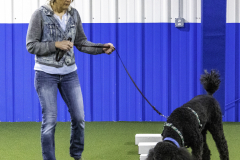 2022-Fall-ScentWork-Trial-98