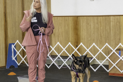 2022-Fall-ScentWork-Trial-996