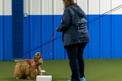 2022-March-Scent-Trial-1001