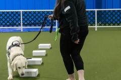 2022-March-Scent-Trial-1006