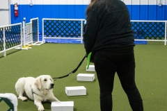 2022-March-Scent-Trial-1008