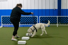 2022-March-Scent-Trial-1010