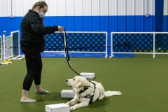 2022-March-Scent-Trial-1011